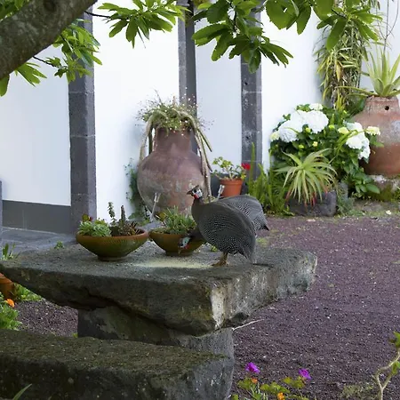 Quinta Da Praca Country house Capelas