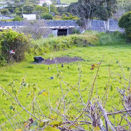 Quinta Da Praca * Capelas